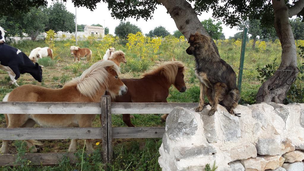 Masseria Boscorotondo ชิคลี ภายนอก รูปภาพ